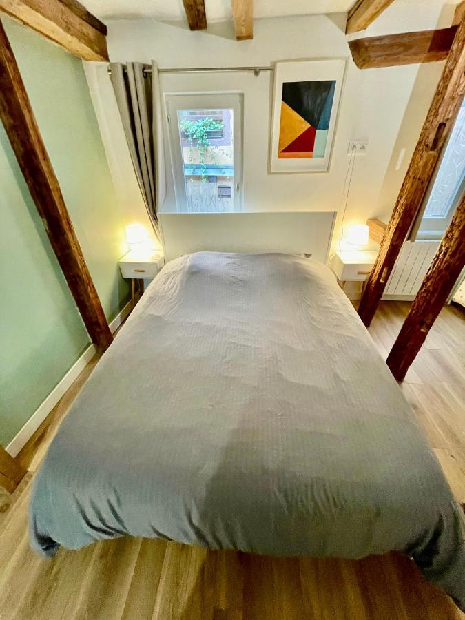 Strasbourg Magnifique Appartement Centre Ville Petite France Kültér fotó