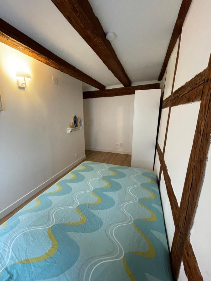 Strasbourg Magnifique Appartement Centre Ville Petite France Kültér fotó